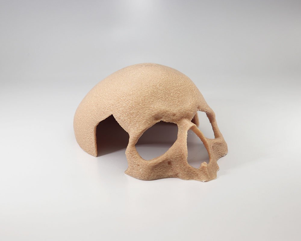 Ossarium Prime - Toca Crânio Humano Superior