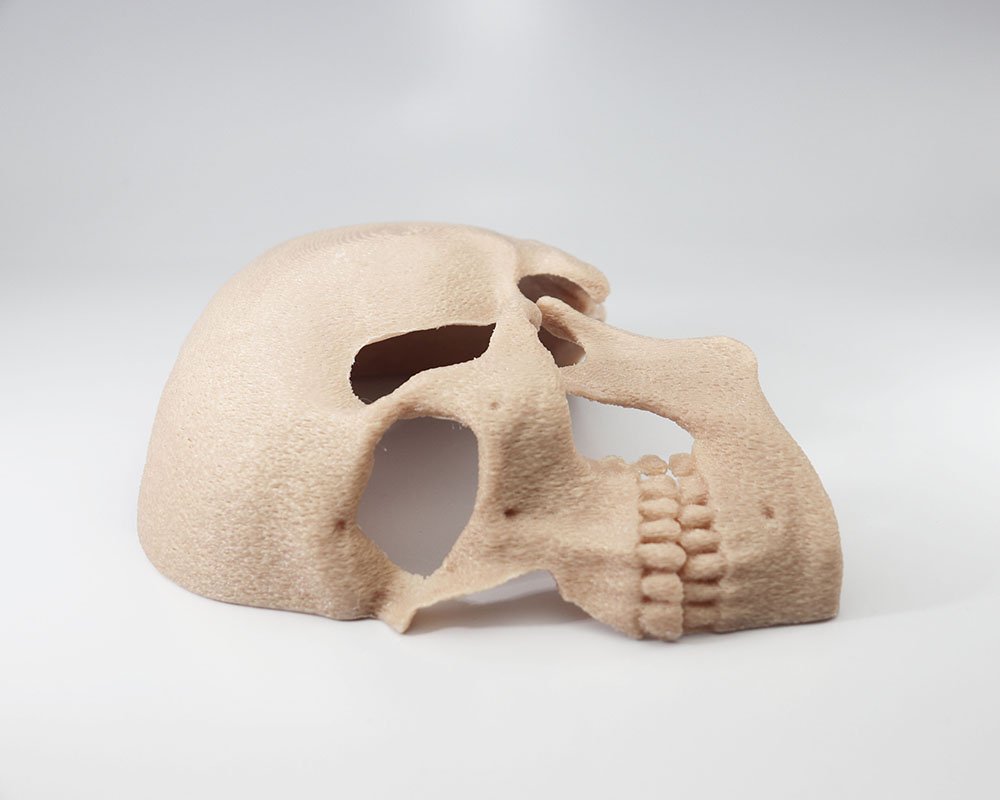 Ossarium Profile - Toca Crânio Humano Deitado