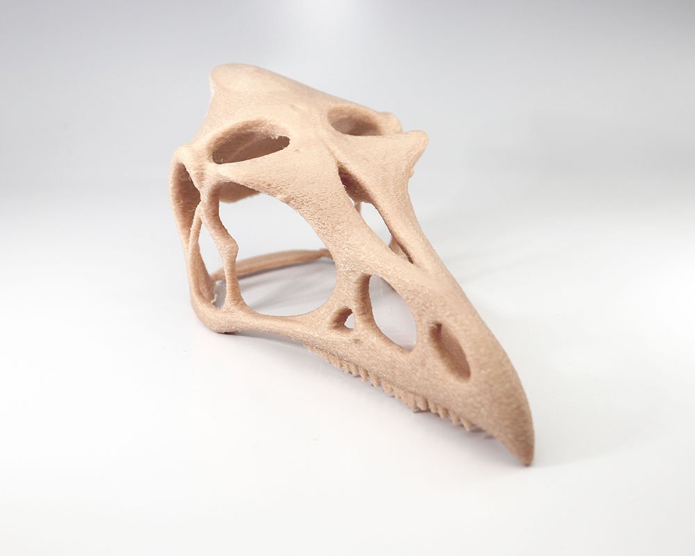 Ossarium Ptera - Toca Pterodáctilo