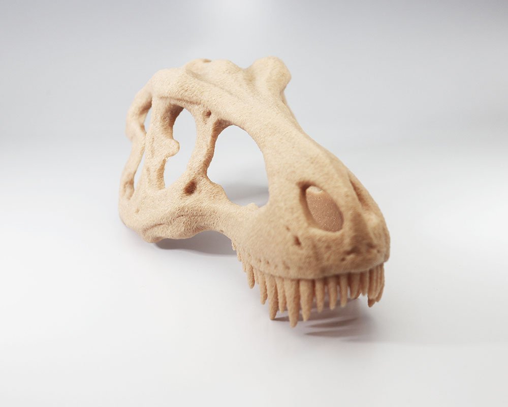 Ossarium Rex - Toca T-Rex